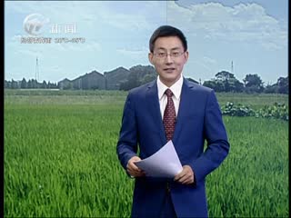 武進新聞