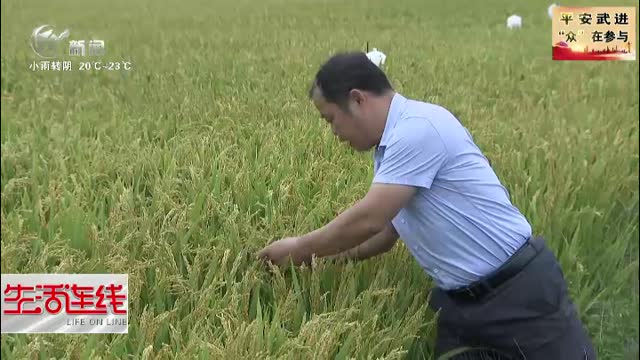 武進新聞
