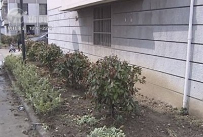武進(jìn)新聞