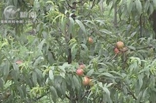 武進(jìn)新聞