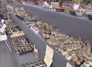 武進(jìn)新聞