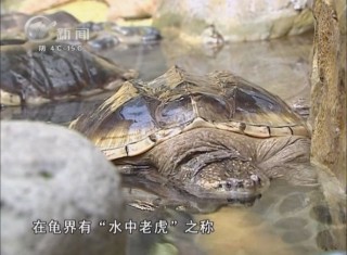 武進(jìn)新聞