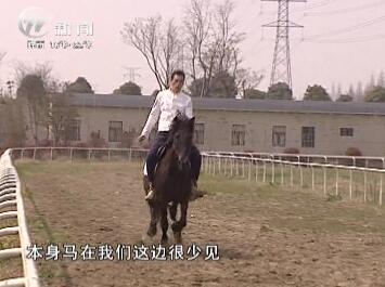 武進新聞