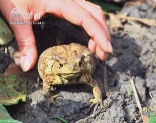 武進(jìn)新聞