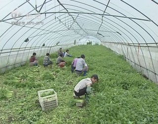 武進(jìn)新聞