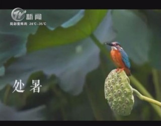 武進新聞