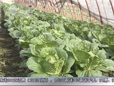 武進(jìn)新聞