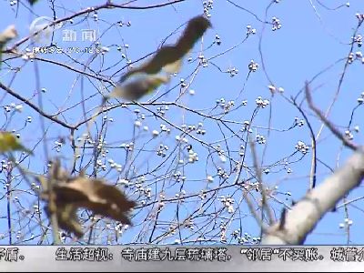 武進新聞