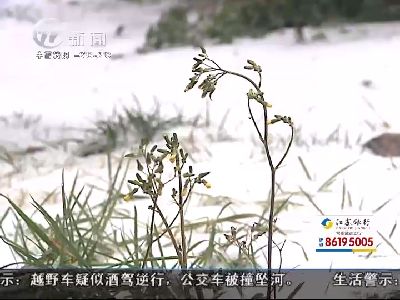 武進新聞