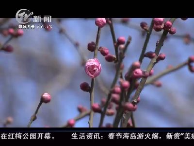 武進新聞