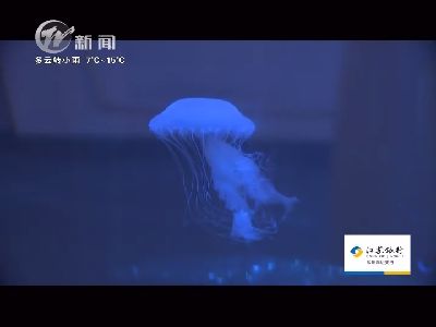 武進(jìn)新聞