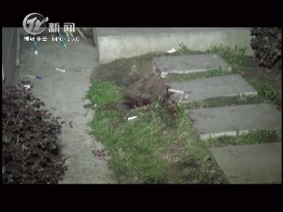 武進(jìn)新聞