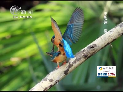 武進(jìn)新聞