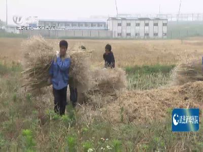 武進新聞