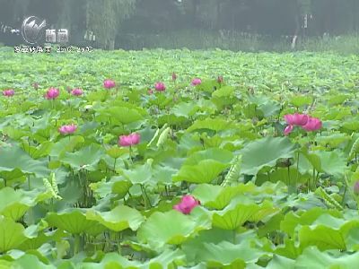 武進(jìn)新聞