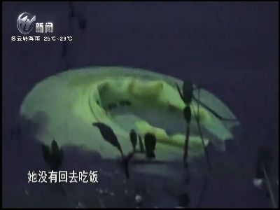 武進(jìn)新聞