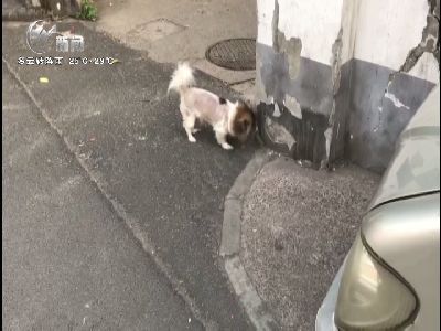 武進(jìn)新聞