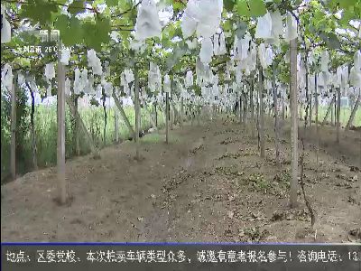 武進(jìn)新聞