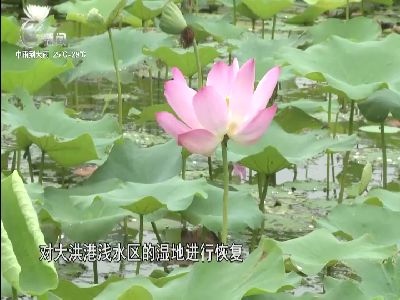 武進新聞