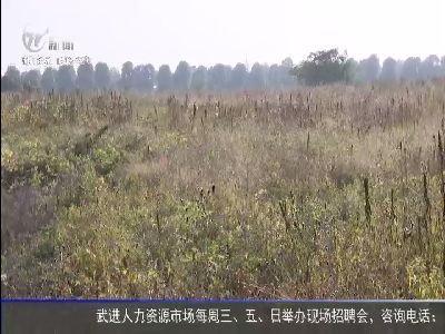 武進新聞
