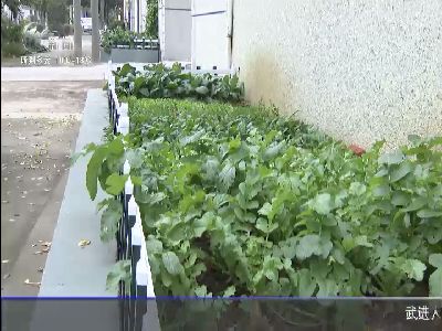 武進(jìn)新聞