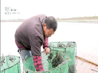 武進(jìn)新聞