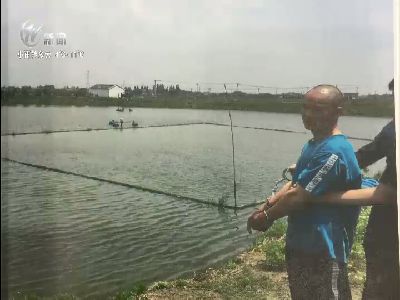 武進新聞