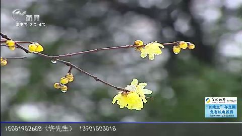 武進新聞