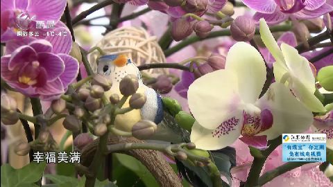 武進(jìn)新聞