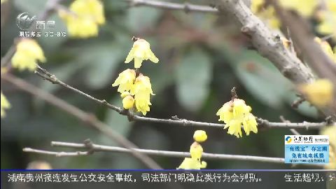 武進(jìn)新聞