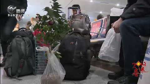 武進新聞