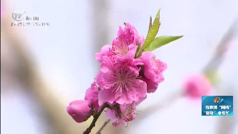 武進(jìn)新聞