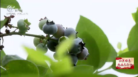 武進新聞