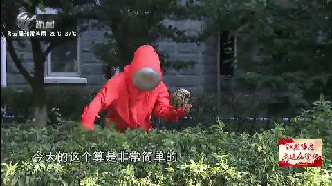 武進新聞