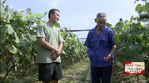 武進新聞
