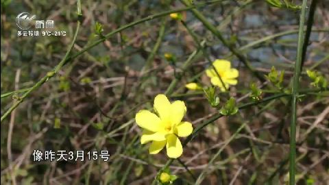 武進新聞
