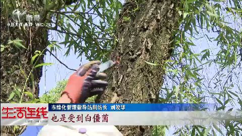 武進新聞