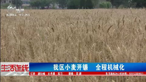 武進新聞