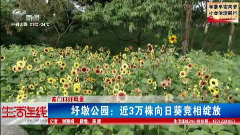 武進(jìn)新聞
