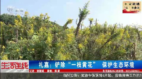 武進新聞