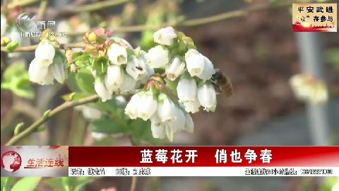 武進新聞
