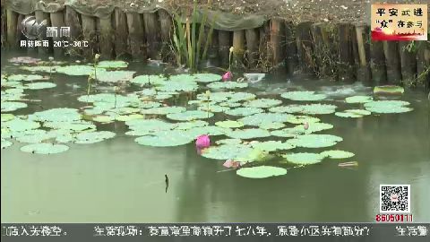 武進新聞