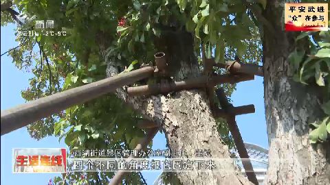 武進新聞