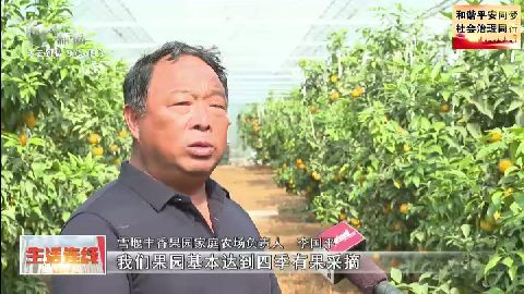武進新聞