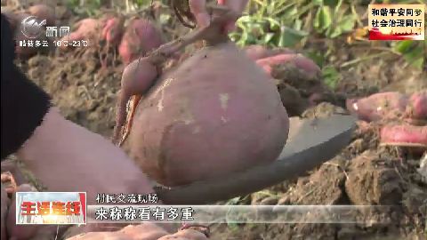 武進(jìn)新聞