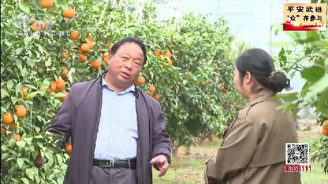 武進新聞