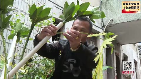 武進(jìn)新聞