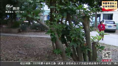 武進(jìn)新聞
