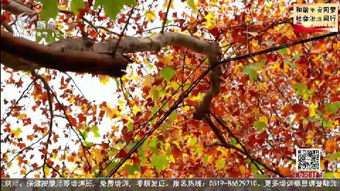 武進(jìn)新聞