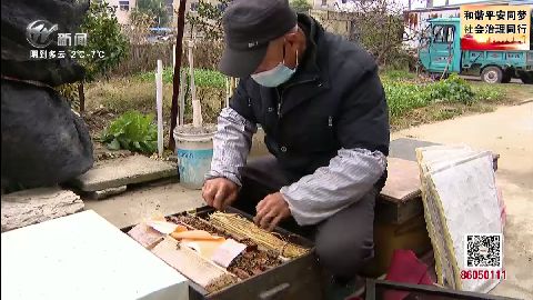 武進新聞